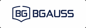 Bgauss rl world